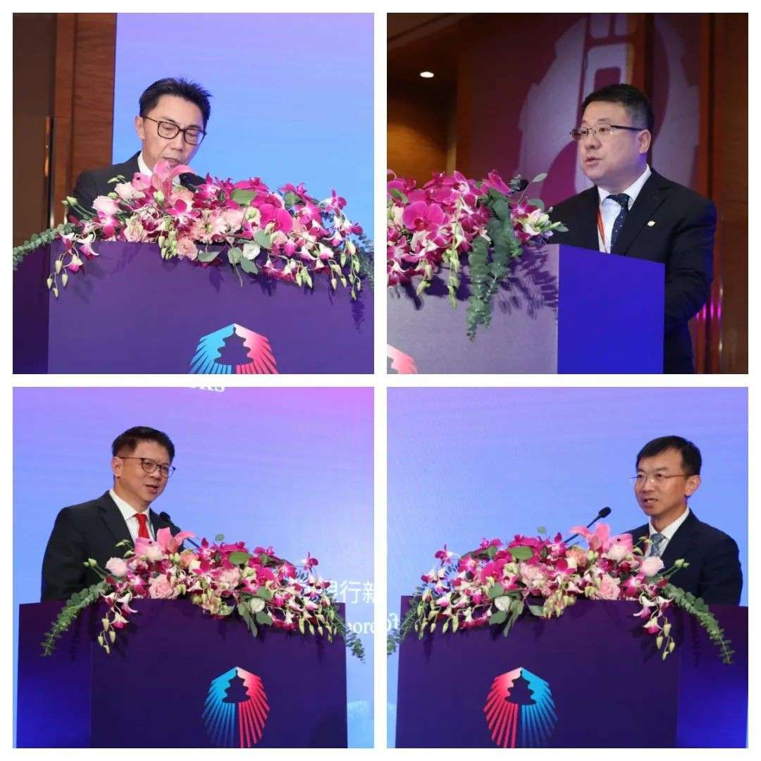 600精英齐聚新加坡！2025国际产业合作大会盛大开幕