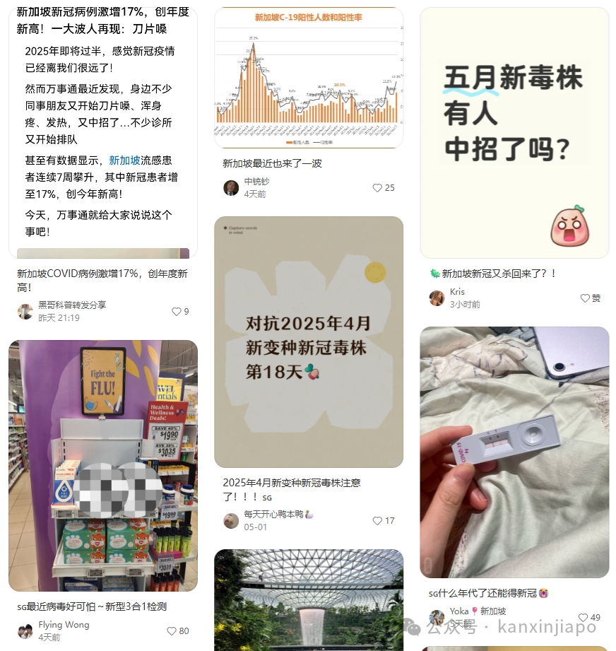 新加坡一周14000例！新冠病例创2025年新高，儿童占比最高