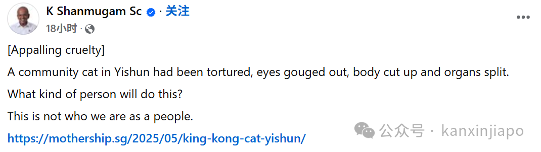 猫咪被虐致死，死状凄惨恐怖，新加坡律政部长怒斥：非人行为！