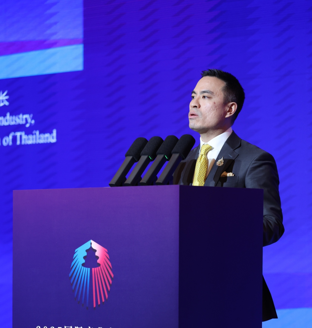 600精英齐聚新加坡！2025国际产业合作大会盛大开幕