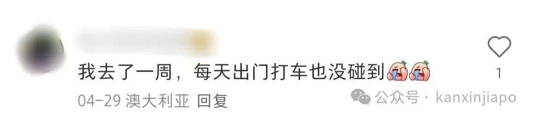 在新加坡打到“神仙车”!绿植装饰配免费零食,乘客直呼:情绪价值拉满了
