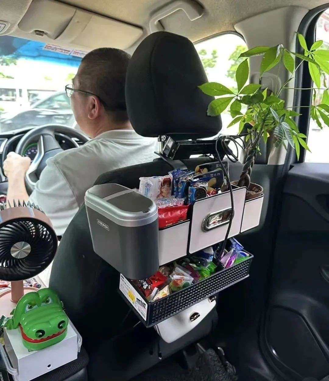 在新加坡打到“神仙车”!绿植装饰配免费零食,乘客直呼:情绪价值拉满了