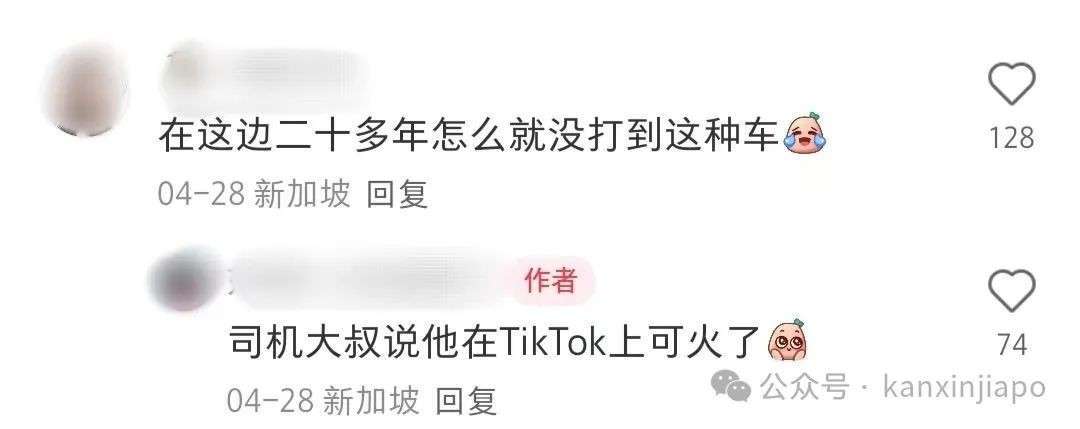 在新加坡打到“神仙车”!绿植装饰配免费零食,乘客直呼:情绪价值拉满了