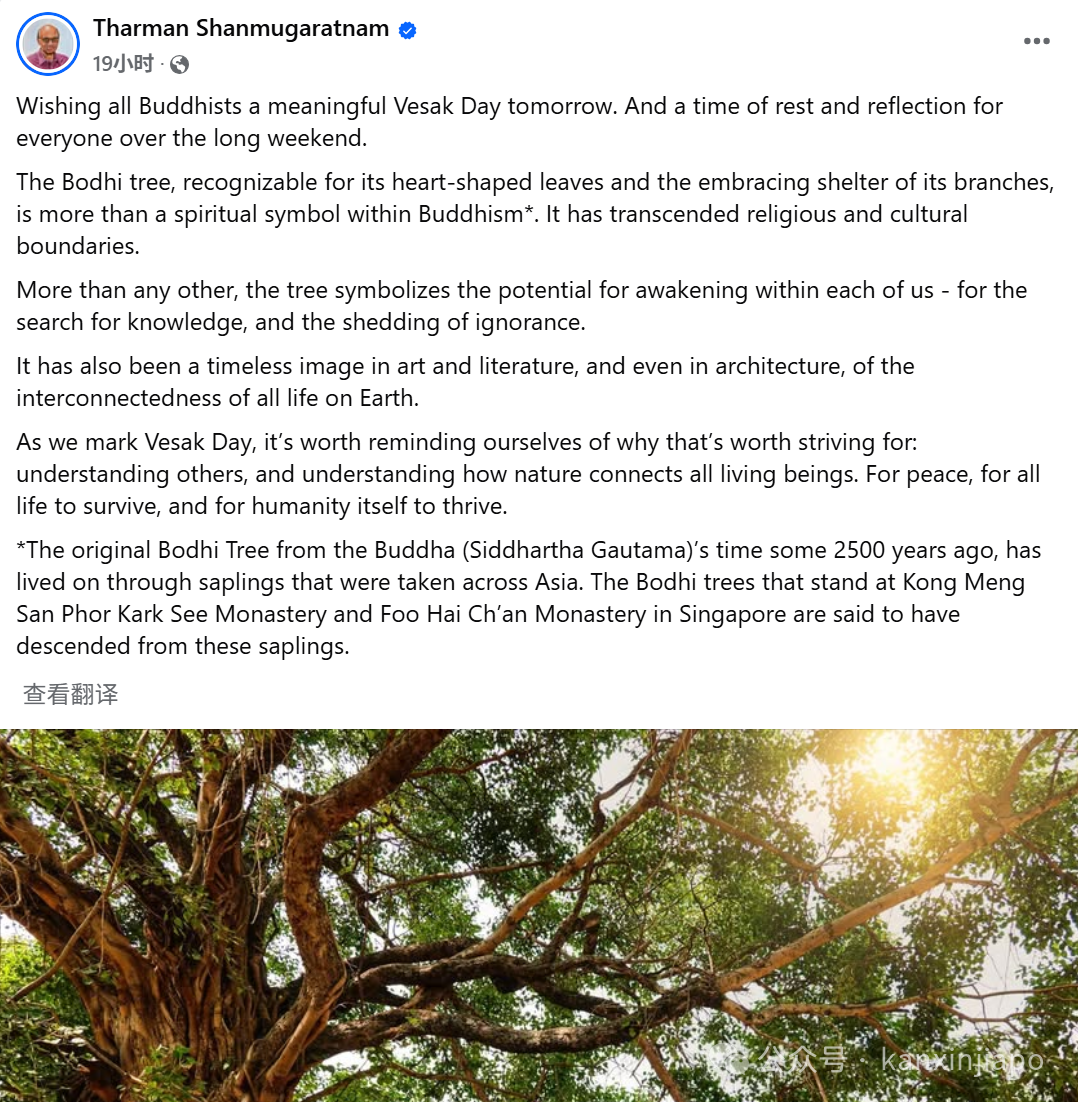 新加坡政要齐发祝福!为什么东南亚国家今天都在过节?