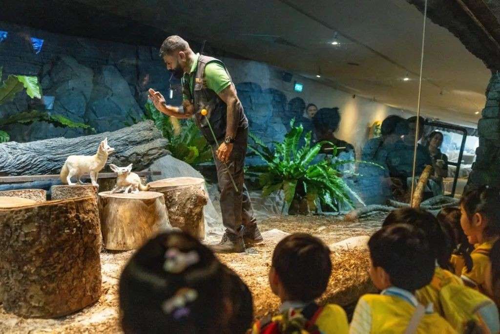 新加坡六月假期遛娃全指南！动物园露营、怪兽嘉年华、史迪仔派对一次看够