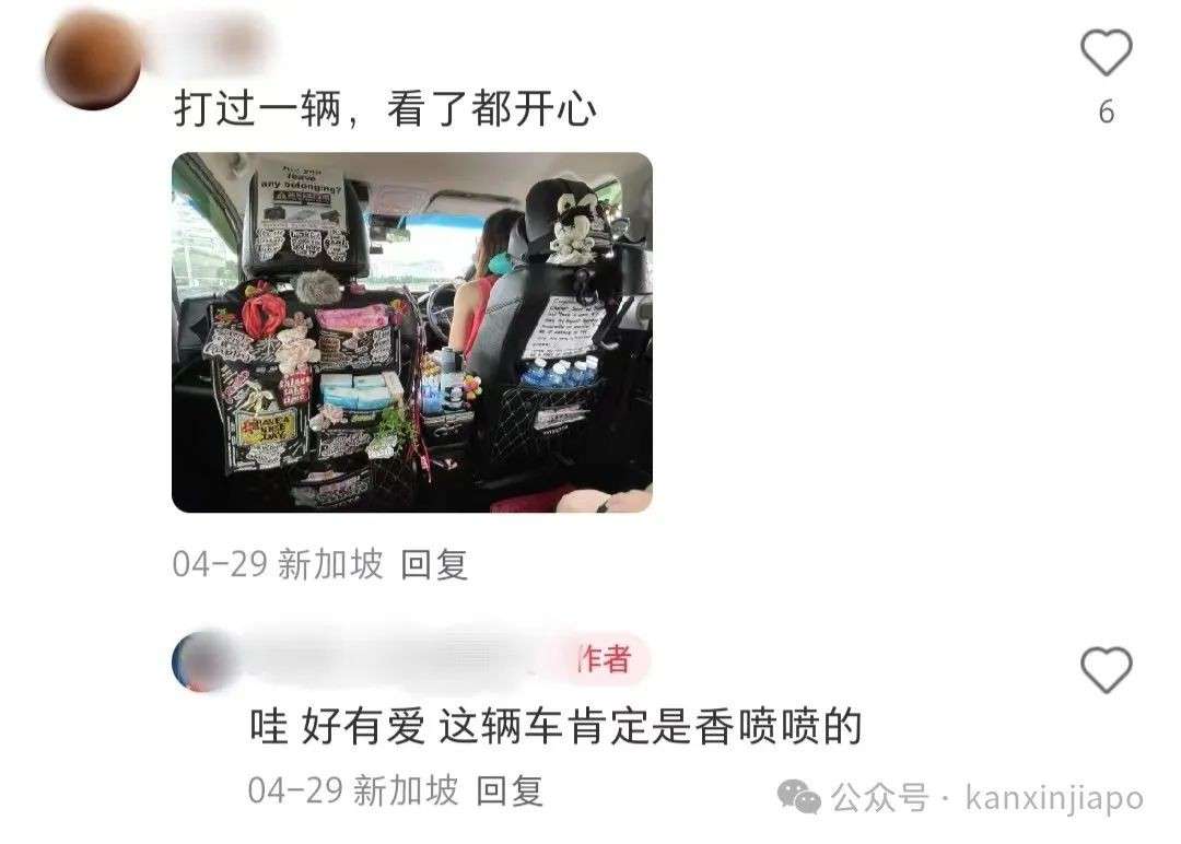 在新加坡打到“神仙车”!绿植装饰配免费零食,乘客直呼:情绪价值拉满了