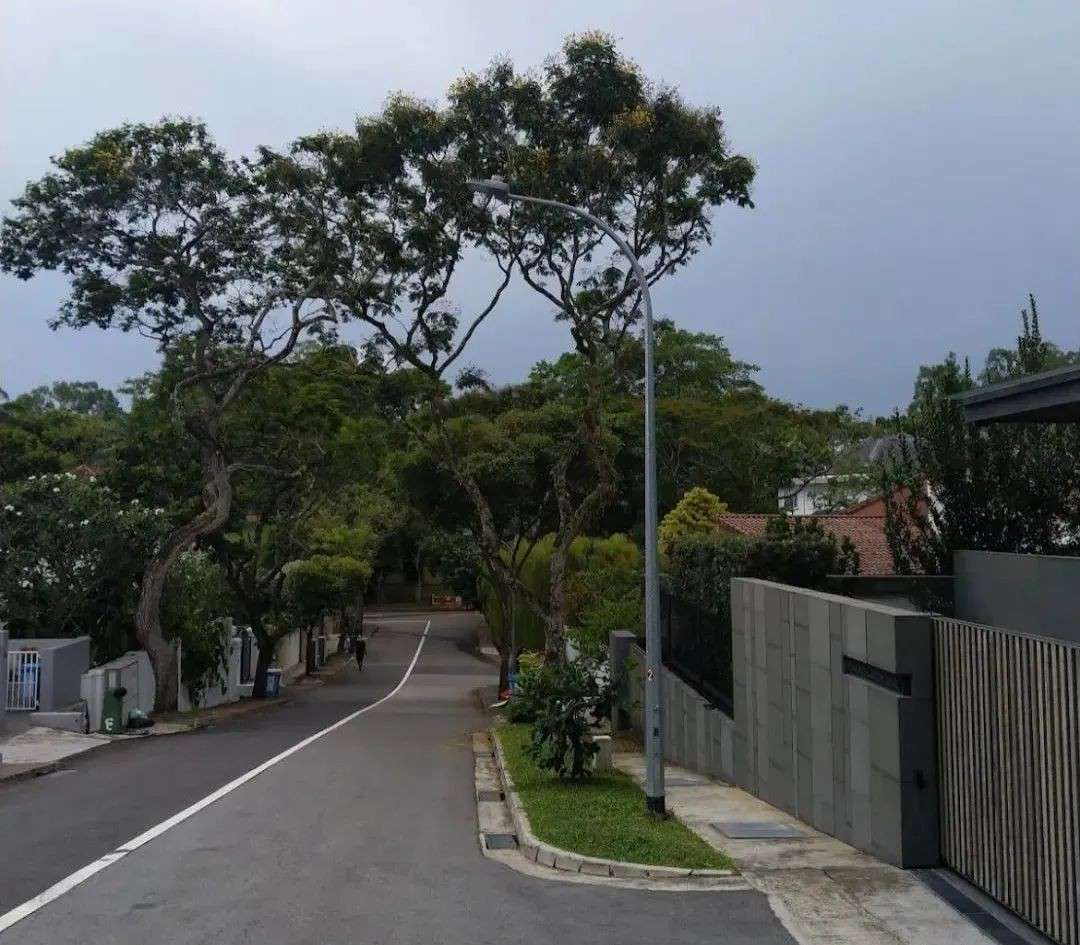 中国富豪扎堆新加坡买房：马云、海底捞老板都花了上亿元！