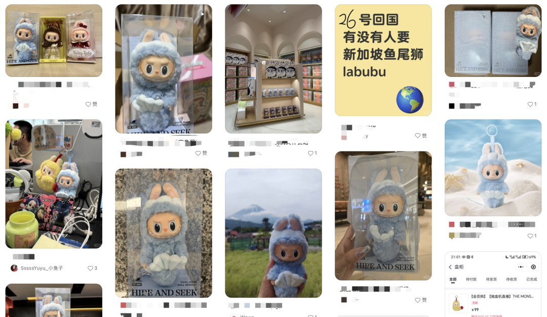 “这是Labubu,这是Zimomo!”抖音魔性挑战火出圈,新加坡人抢盲盒挤爆商场