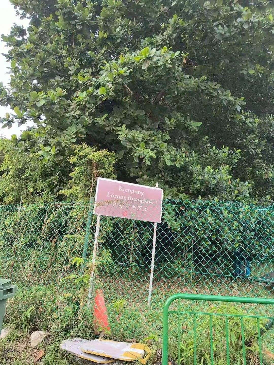 当数千万新币砸向你，你还会守着新加坡的