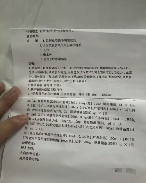 新加坡女幼师三亚旅游疑遭蛇咬身亡，亲属直播回应网友疑问，最新细节曝光