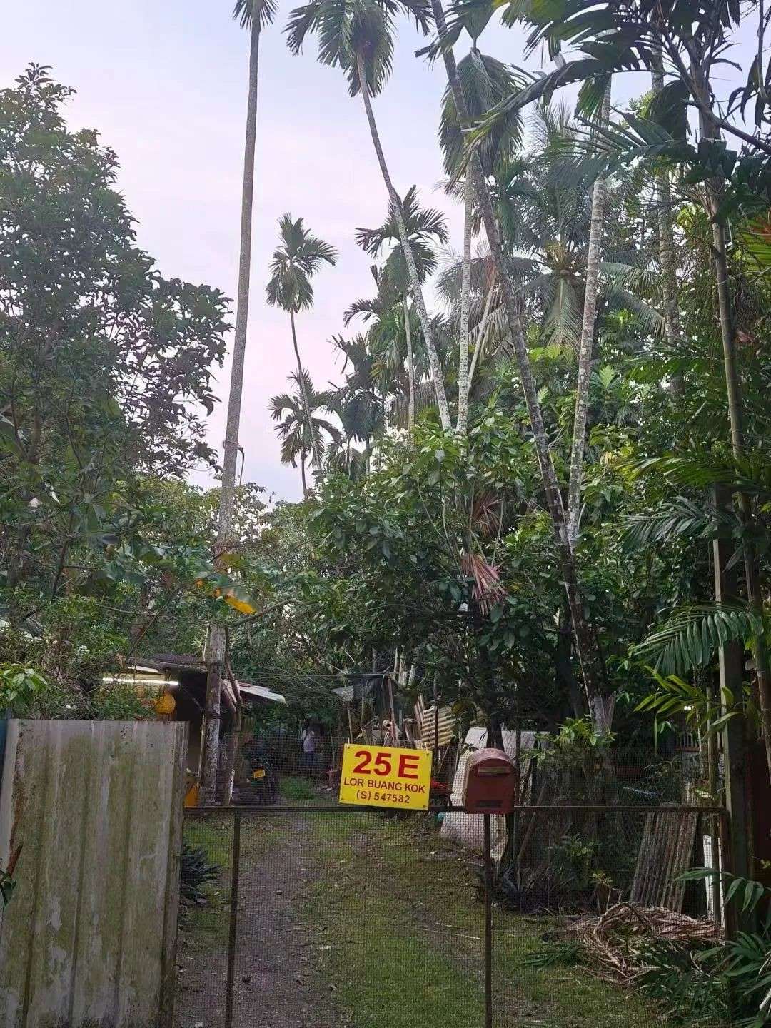 当数千万新币砸向你,你还会守着新加坡的乡下祖宅吗?