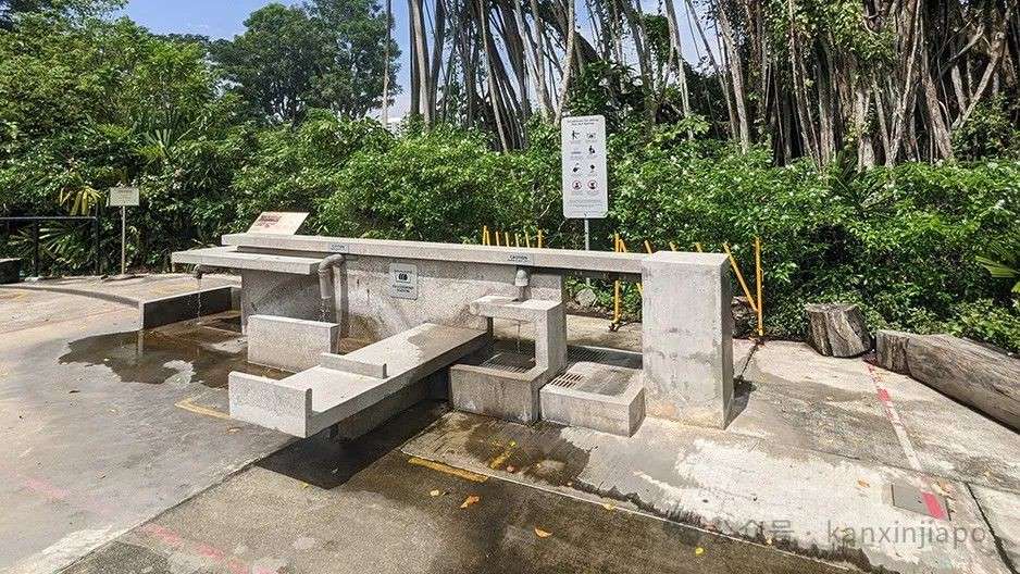 暑假亲子游想来就来，新加坡这10个必打卡遛娃景点码住