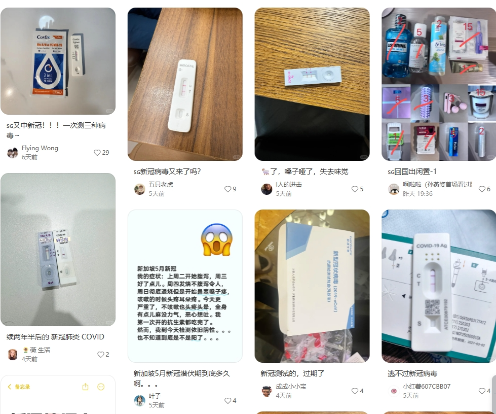 新加坡还在阳！世卫提醒新毒株导致东南亚病例激增，泰国激增368%