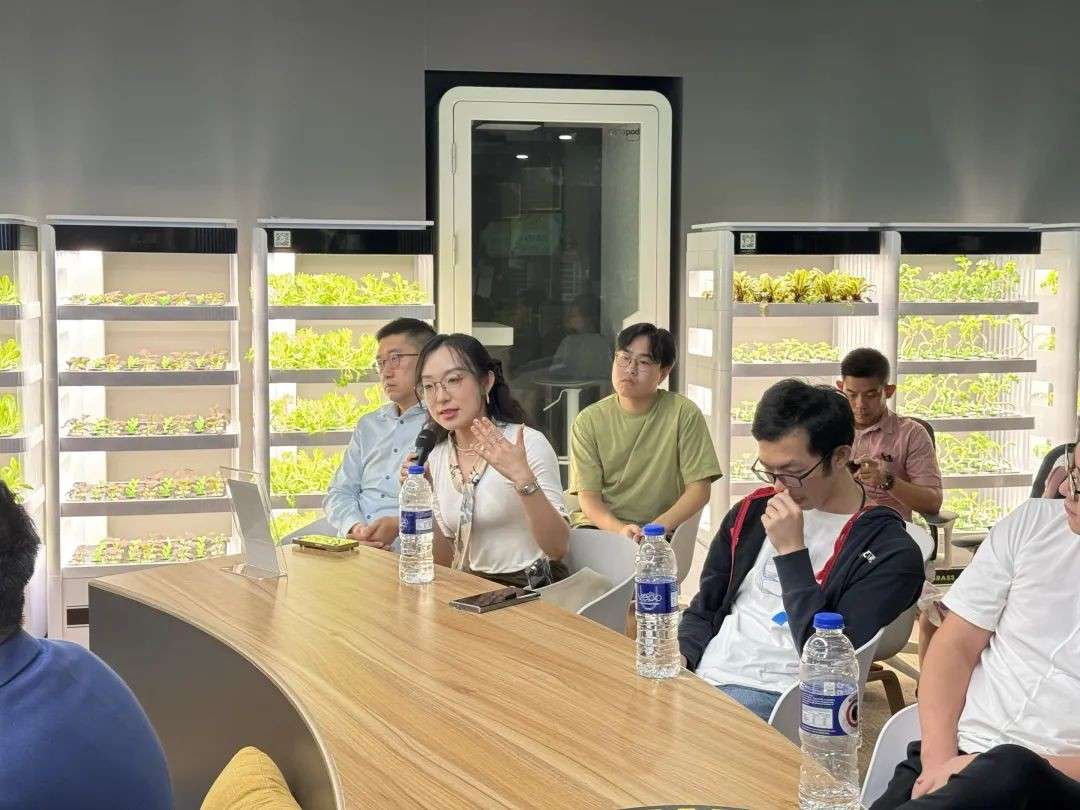 新加坡的AI圈子聚会长这样