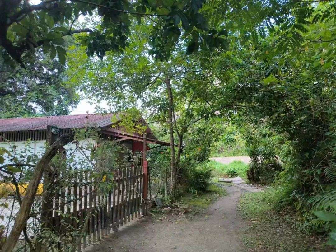 当数千万新币砸向你,你还会守着新加坡的乡下祖宅吗?