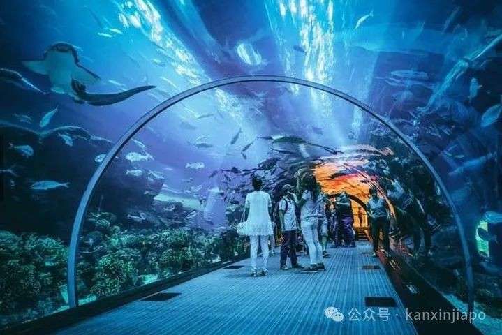 暑假亲子游想来就来，新加坡这10个必打卡遛娃景点码住