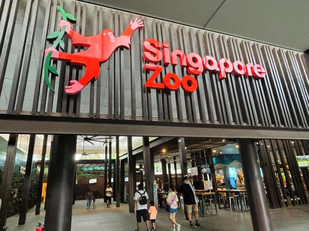 暑假亲子游想来就来，新加坡这10个必打卡遛娃景点码住