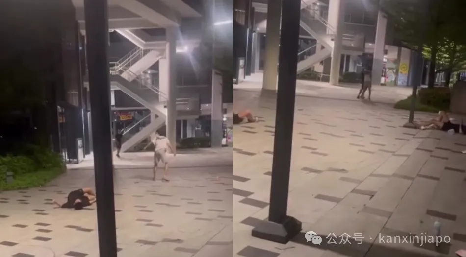 震惊！新加坡“丧尸电子烟”进校园、贩卖婴儿黑市同步曝光