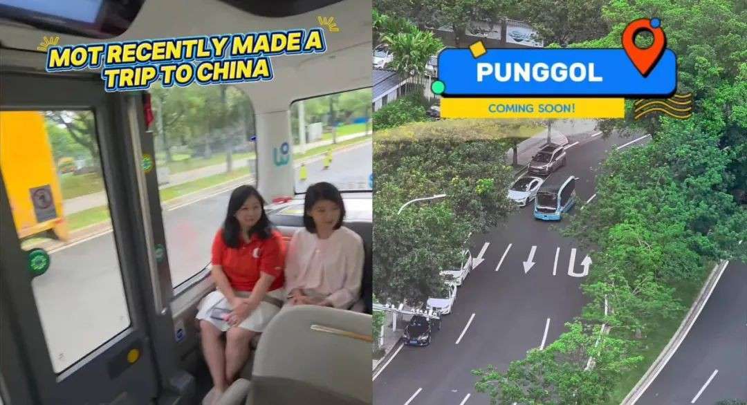新加坡组屋区要开通无人巴士了!中国造,靠谱吗?司机怎么办?