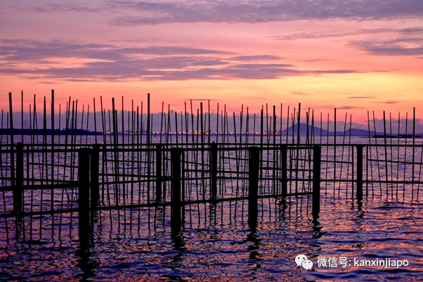 新加坡哪里可以看日落？8个绝美夕阳的打卡地点