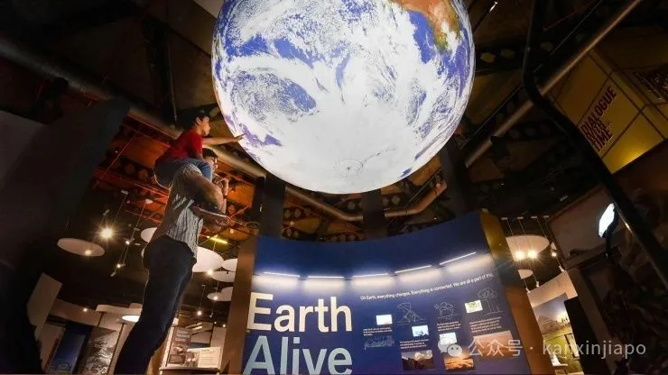 【下周活动】科学馆限免、图书馆免费展、鼯猴营地正式开放……娃都玩不过来了！