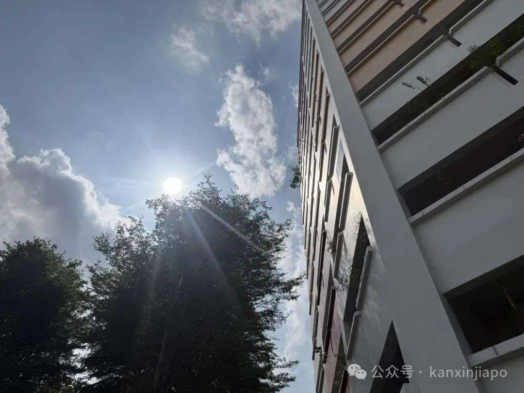 新加坡下半个月更难熬了，气温要破34度