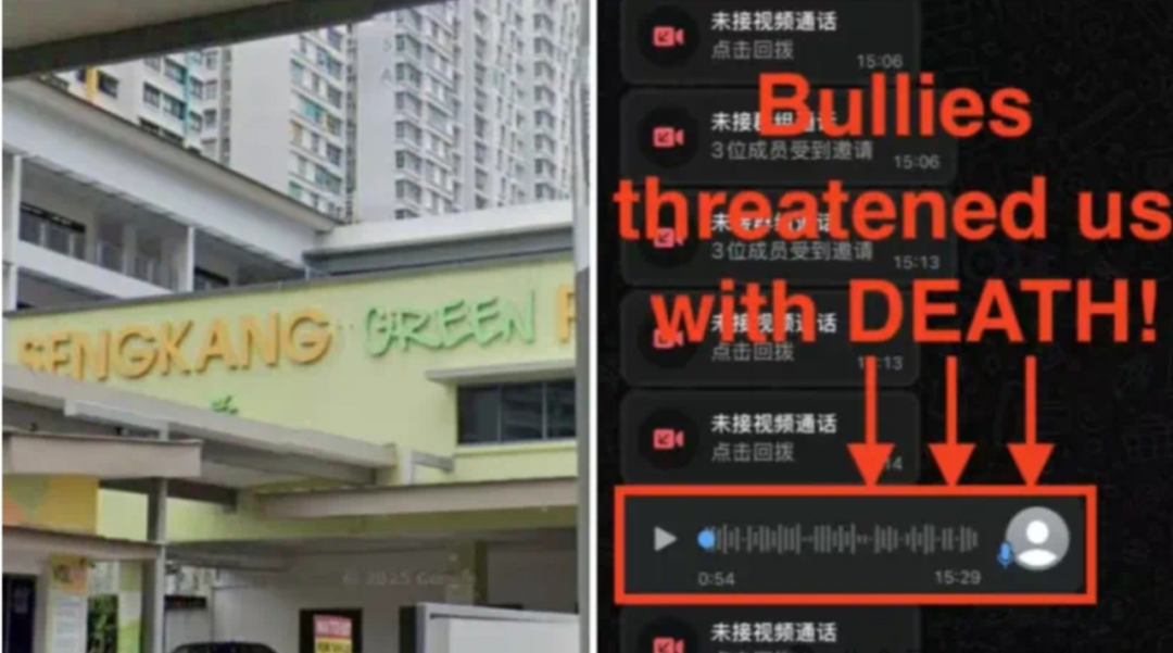 教育部回应新加坡小学霸凌事件：首次公开时间线，涉事小学生已被鞭打