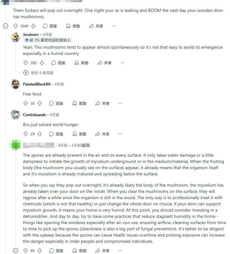 终于知道新加坡有多潮湿了,飞机空桥长蘑菇