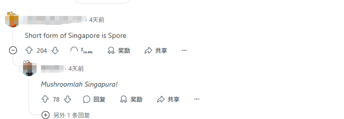 终于知道新加坡有多潮湿了,飞机空桥长蘑菇