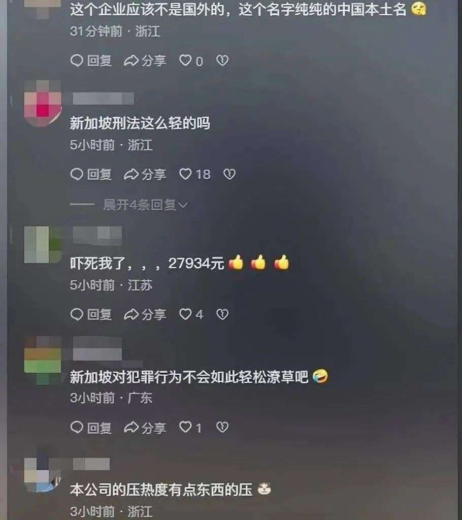 太恶心！鸡汤吃出10多条蛆，新加坡中餐厅卫生问题引关注