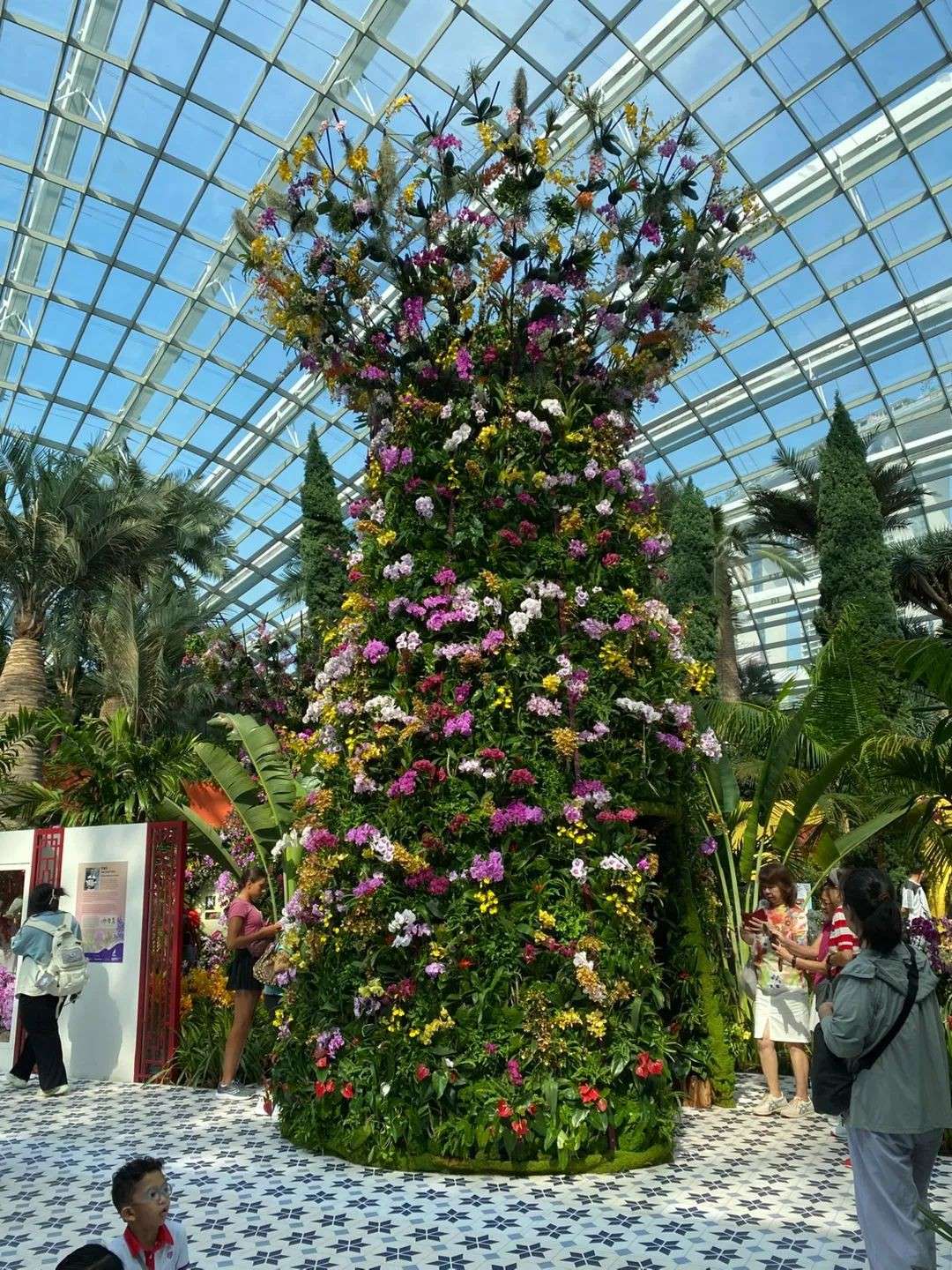 25年异乡成故乡!一个"新漂"写给新加坡的60岁情书