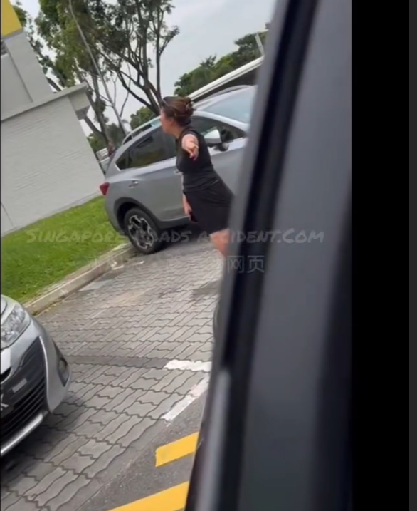 “他妈的回去中国吧，X你妈的！”新加坡停车场倒车被堵遭国骂、比中指
