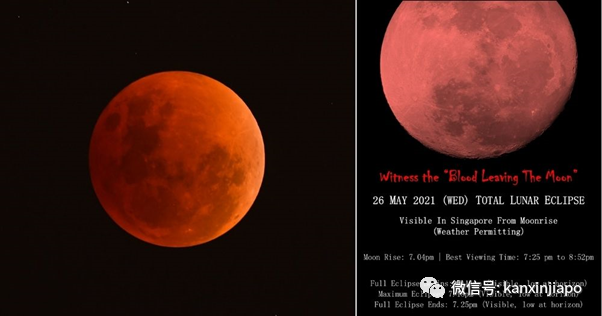 【下周活动】梦幻仲夏夜空、园艺节HortFest、还有好多日料优惠...好玩又有料
