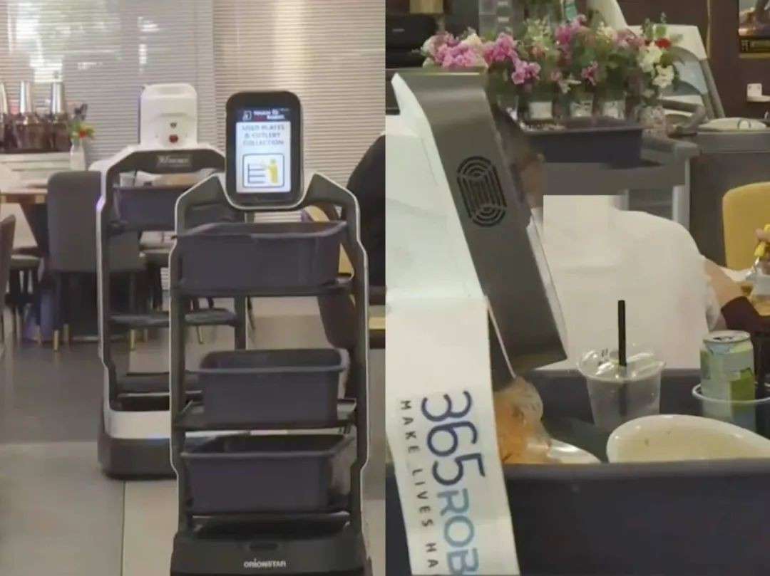 新加坡连锁食阁上线AI机器人！会推荐美食、帮找座位、还能唱生日歌跳舞！