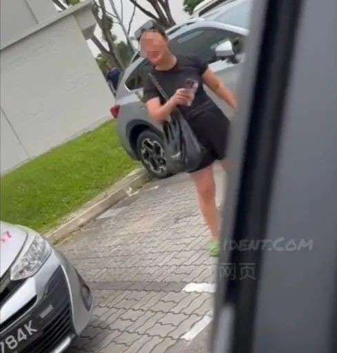 “他妈的回去中国吧，X你妈的！”新加坡停车场倒车被堵遭国骂、比中指
