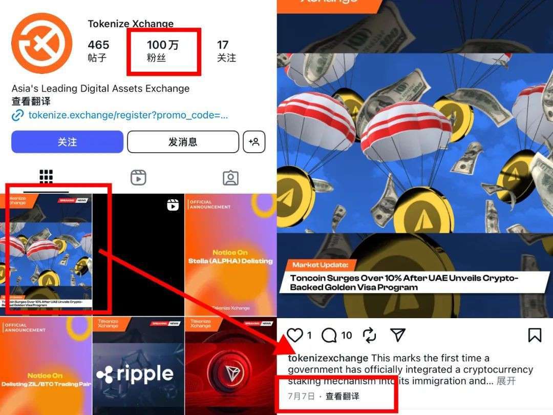 新加坡本地加密货币平台爆雷，用户投资恐打水漂