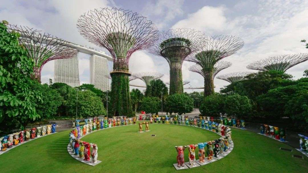 全球爆火巴迪熊空降滨海湾花园,萌翻全场!