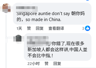 “他妈的回去中国吧，X你妈的！”新加坡停车场倒车被堵遭国骂、比中指
