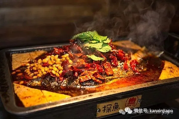 一边疯狂开店,一边成批倒闭!新加坡餐饮卷出新高度