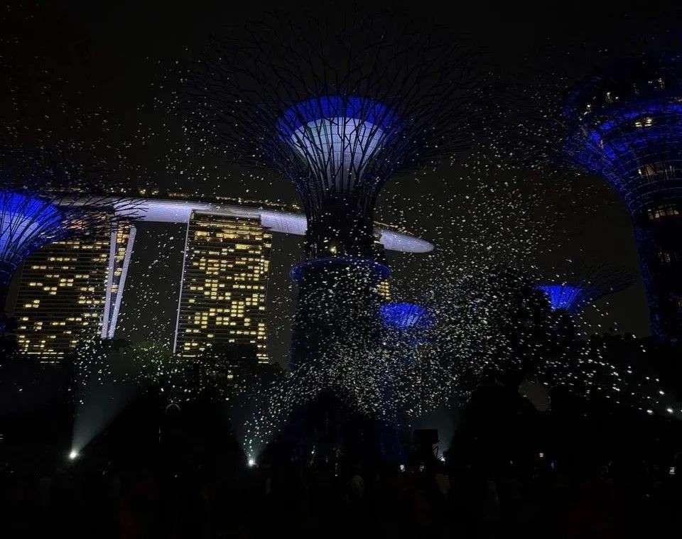 亲眼所见！比新加坡的星空更美，还有兰花织成的娘惹旧梦