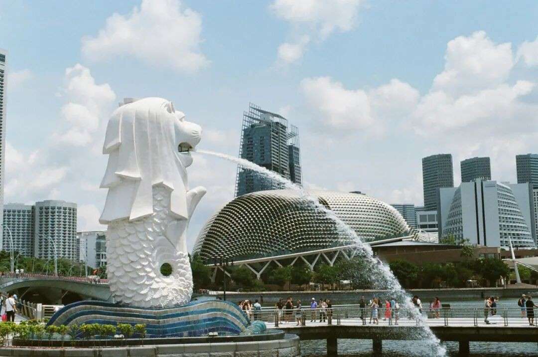 新加坡本土招聘！教务专员、移民顾问、编辑、商务多职位等你来～