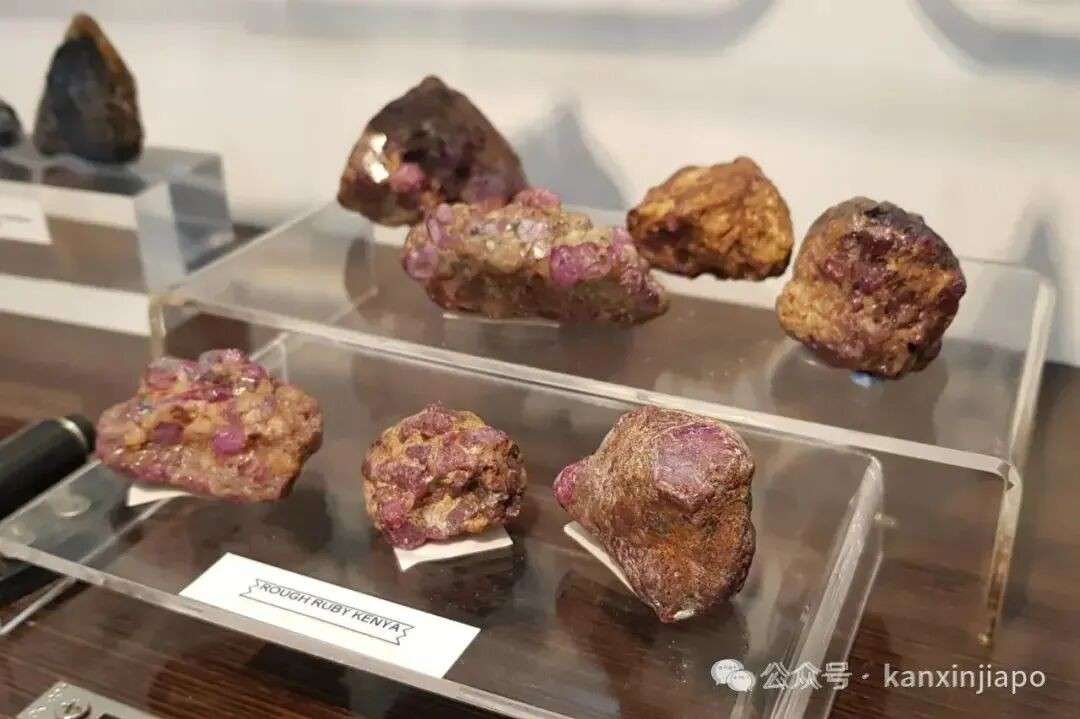 新加坡必逛博物馆！0元畅游，一篇搞定所有隐藏玩法