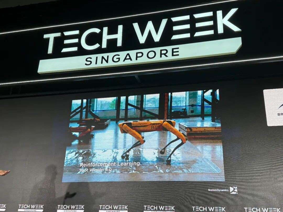 新加坡科技周现场直击:AI地毯式轰炸、中国三巨头抢眼、除了美国波士顿动力,本地机器人也来了