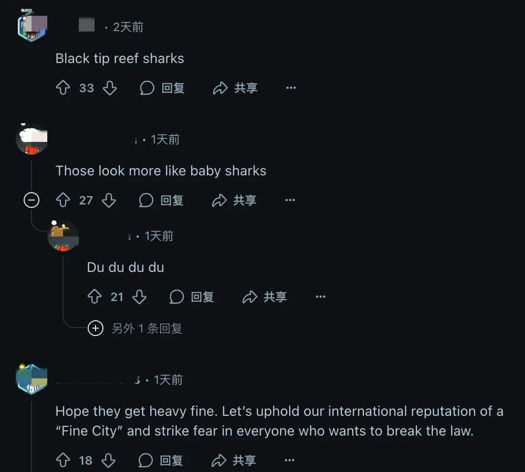 女子竟在圣淘沙钓鲨鱼？视频曝光引发全网热议
