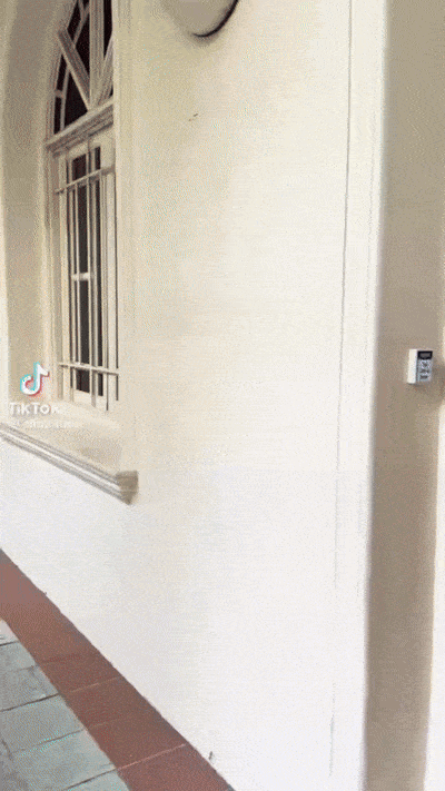周受资回母校华中打卡,网友热议:终于能实锤他是新加坡人了吧!