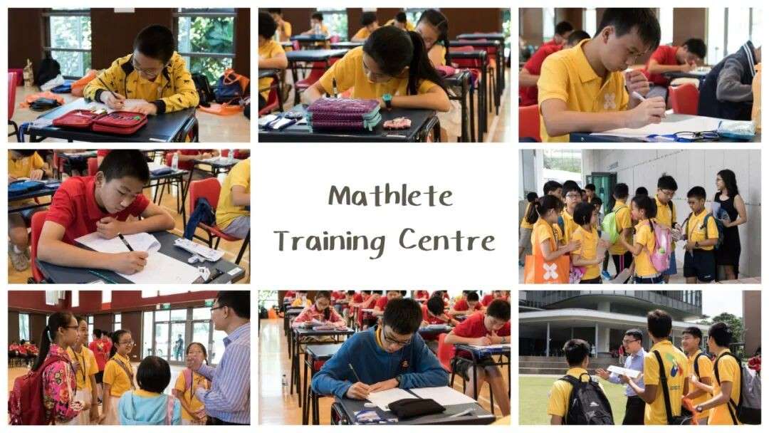 思维的黄金场:为什么越来越多家长选择让孩子学奥数