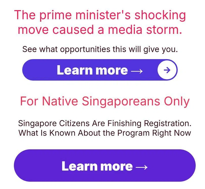新加坡又有“政要代言”的投资广告出现了！