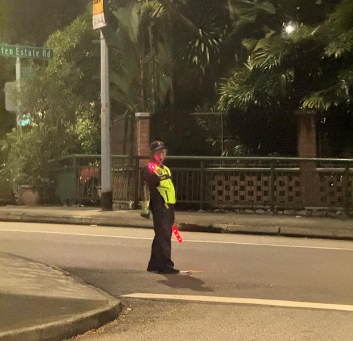 那一夜，新加坡满大街牛鬼蛇神乱窜
