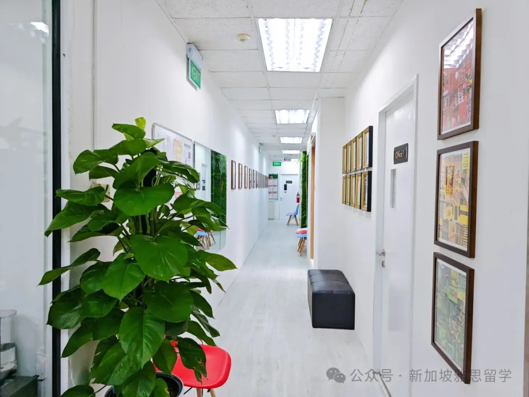 【重磅发布】双雅思官方考点，雅思全日制+课后培训课程