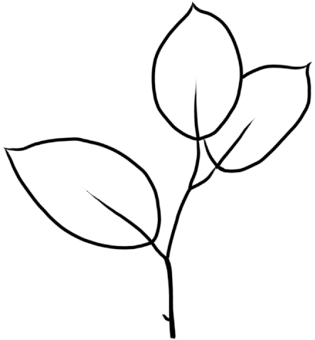 新加坡这场新书发布会，作家竟然是群孩子